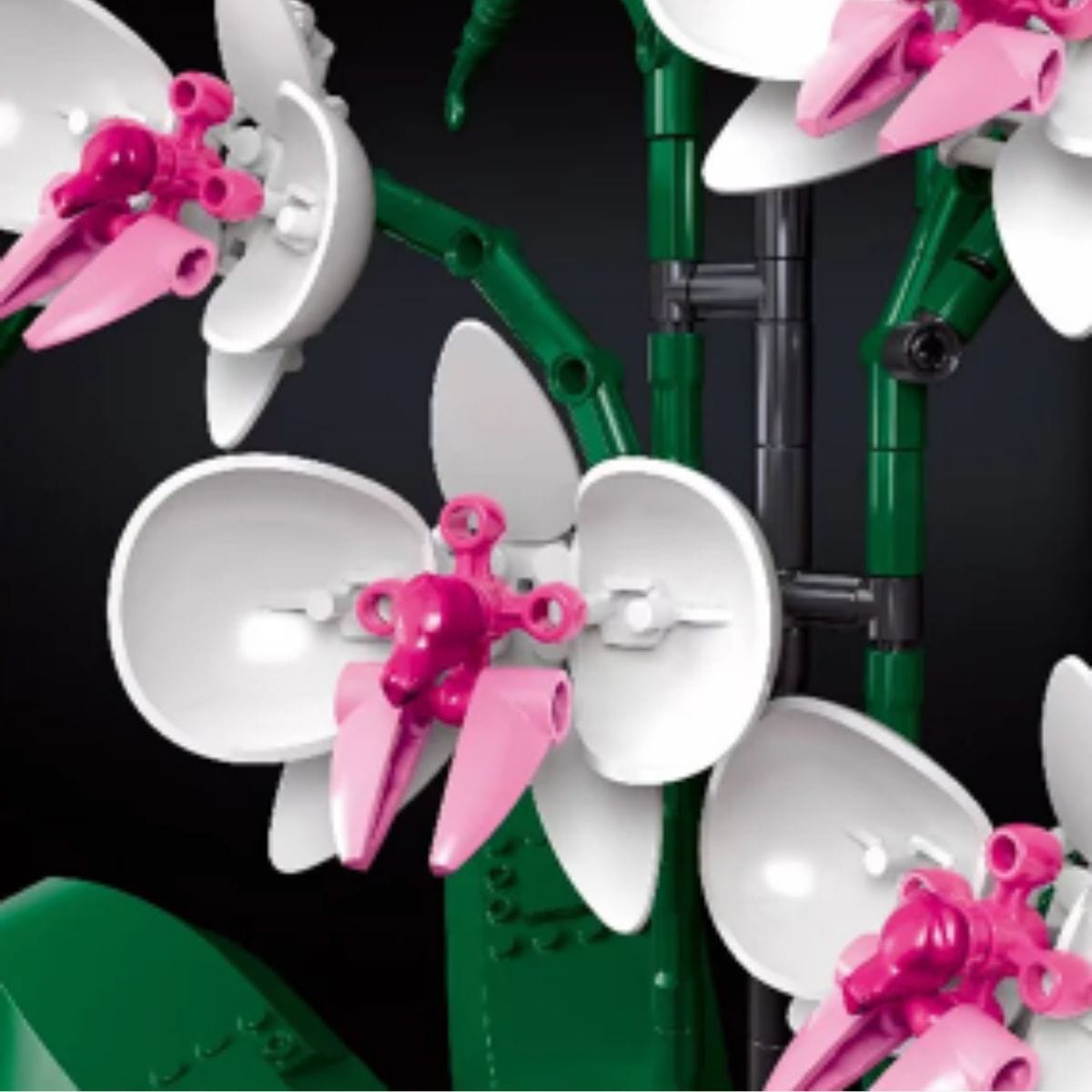 Puzzle 3d Nature | L'Orchidée