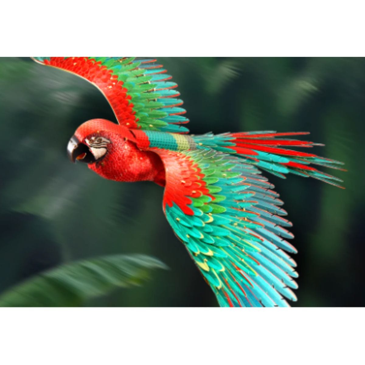 Puzzle 3d Animaux | Le Grand Perroquet