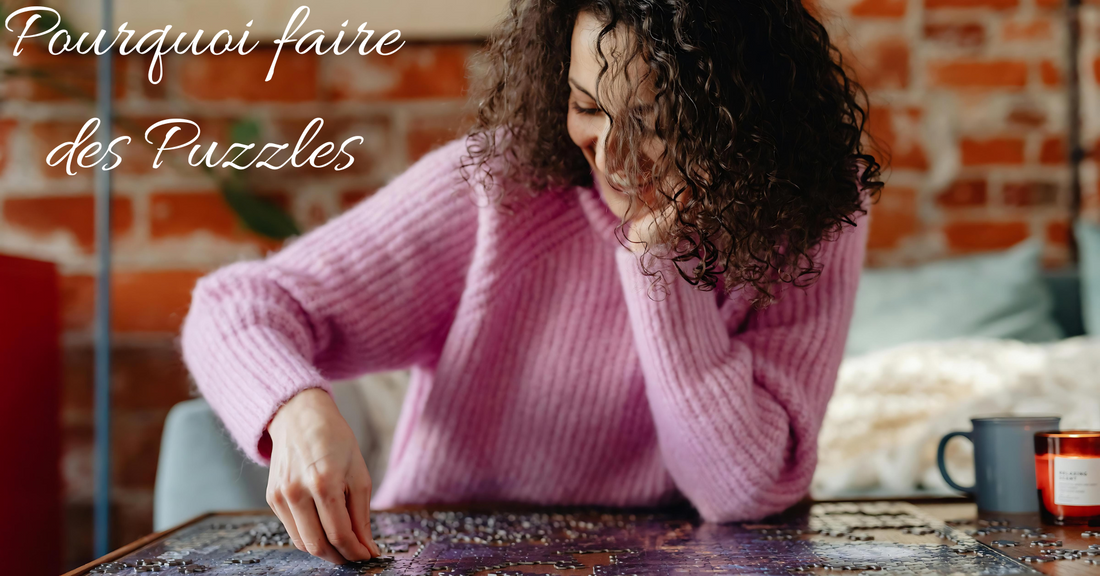Pourquoi faire des Puzzles
