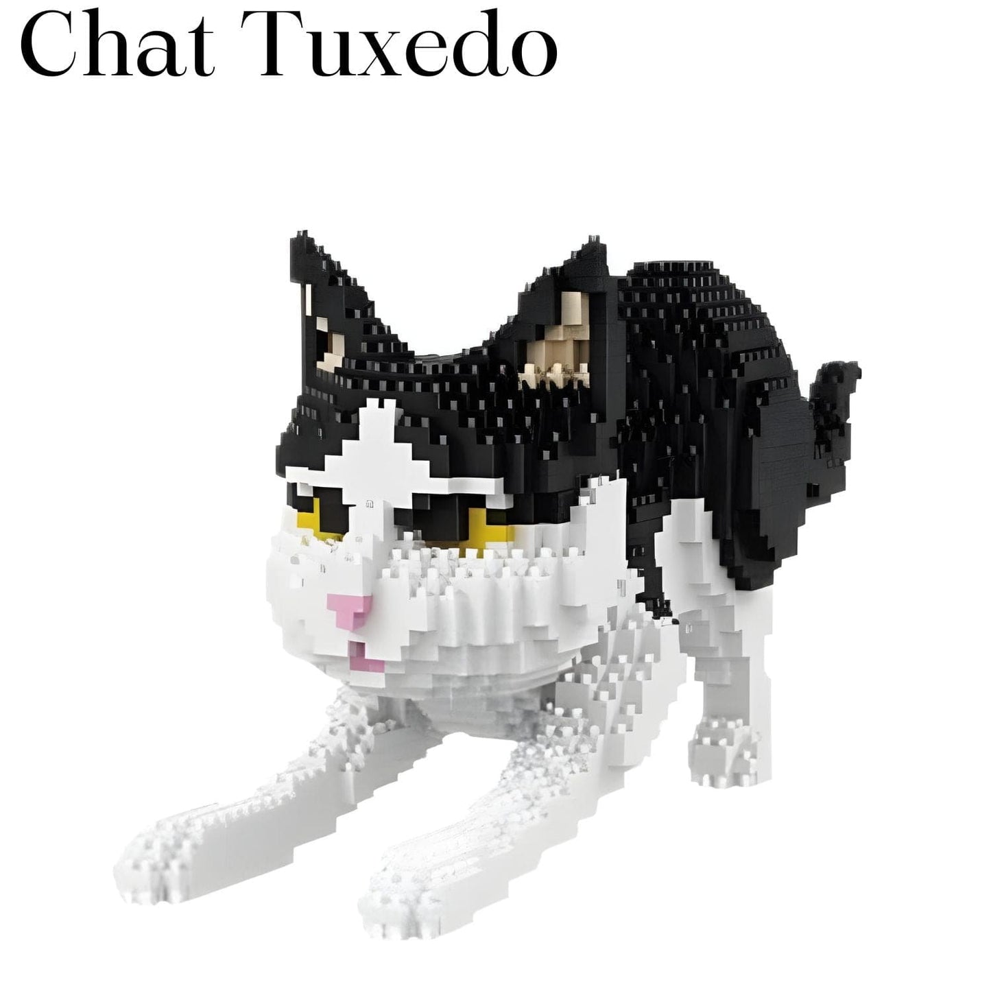 Chat Brique Pièces d'Exceptions Animaux | Le chat Tuxedo