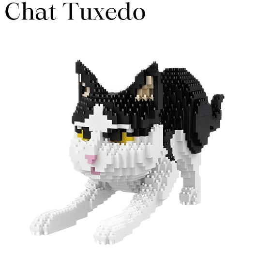 Chat Brique Pièces d'Exceptions Animaux | Le chat Tuxedo