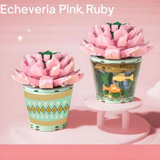 Echeveria Rose Pièces d'Exceptions Nature | Mini Echeveria Pink Ruby
