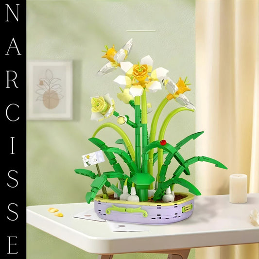 Narcissus 3D model Pièces d'Exceptions Nature | Pot de Narcisses