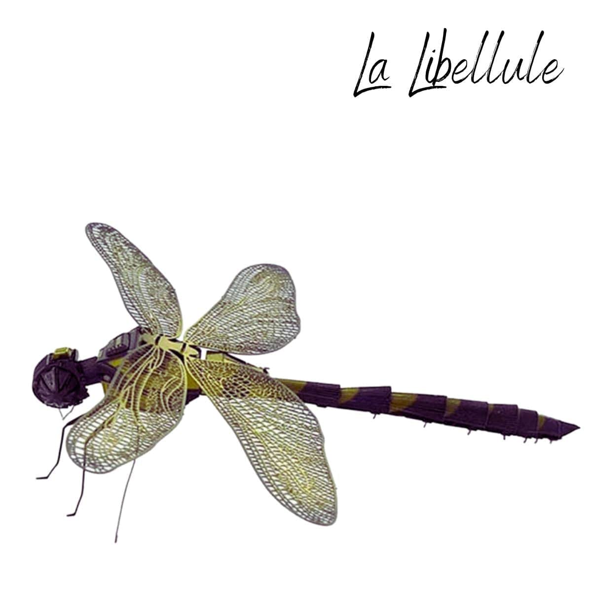 Puzzle 3d Animaux | La Libellule Coloré