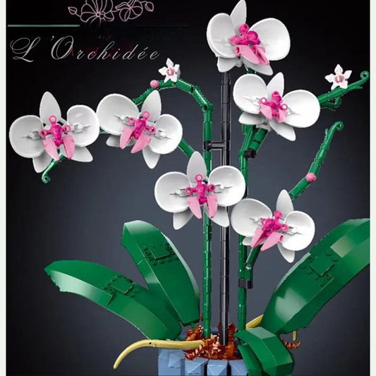 Puzzle 3d Nature | L'Orchidée
