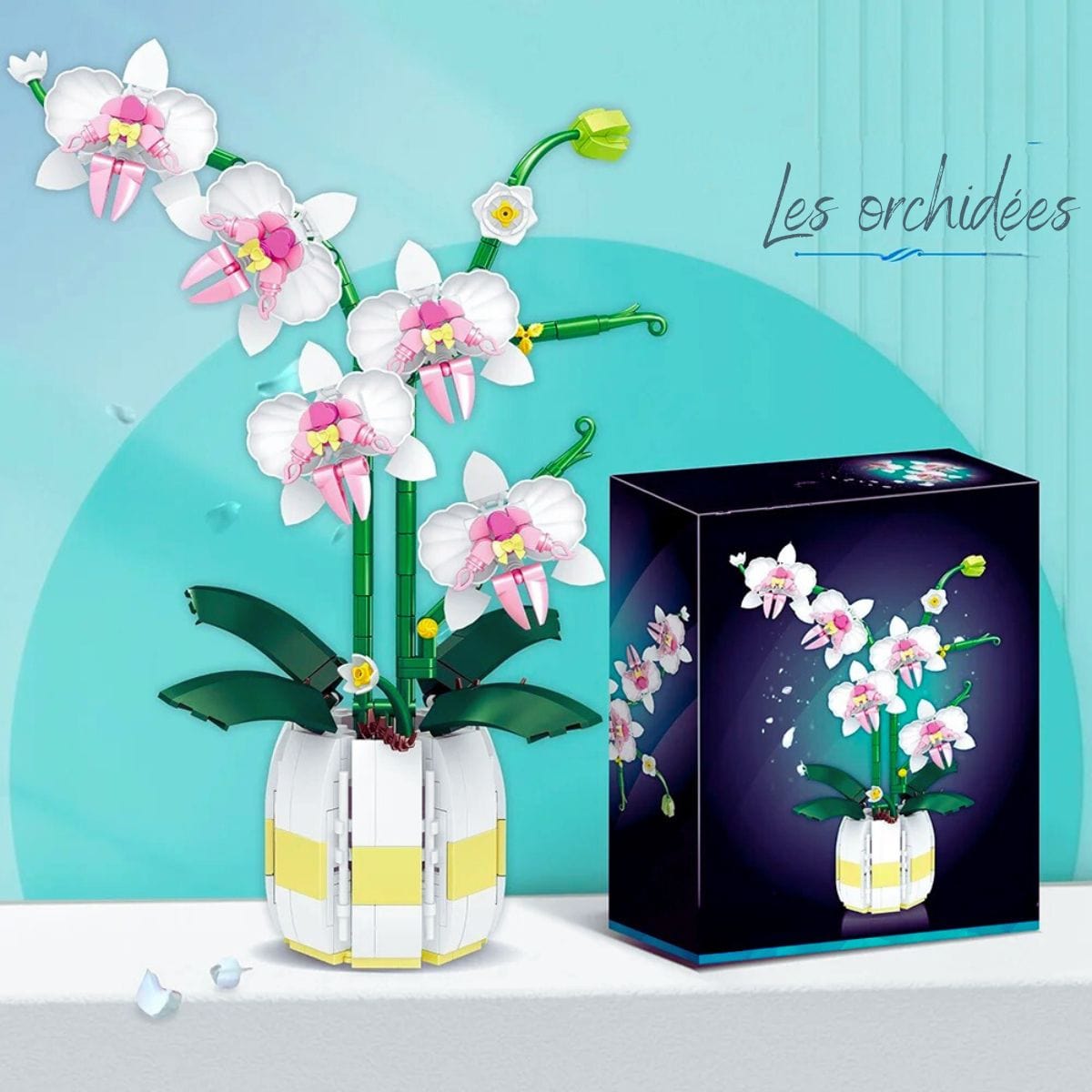  Puzzle orchidée Puzzle 3d Nature  | Les Orchidées