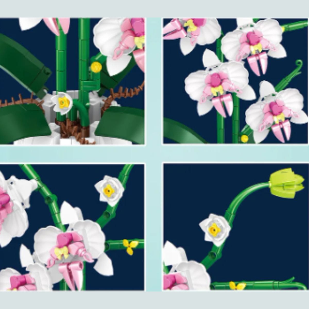  Puzzle orchidée Puzzle 3d Nature  | Les Orchidées